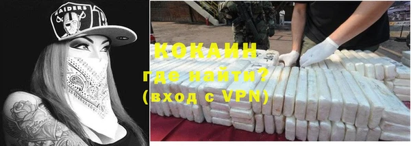 шишки Аркадак