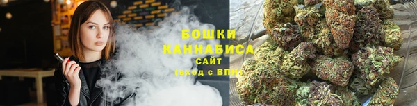 соль ск Арсеньев