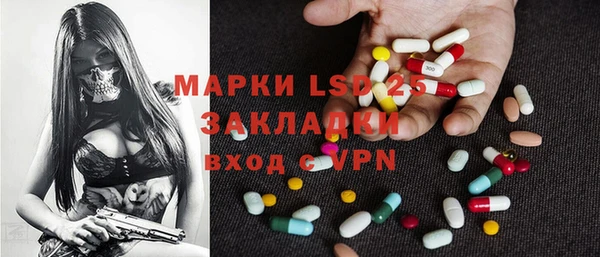 шишки Аркадак