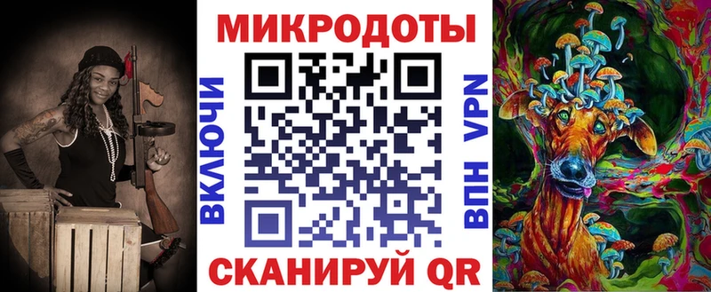 дарк нет официальный сайт  сколько стоит  Большой Камень  Псилоцибиновые грибы GOLDEN TEACHER 
